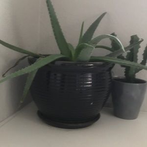 Meet your Posher, Ellen